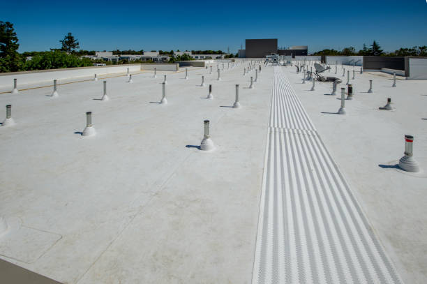 Best Roof Coating and Sealing  in Hopkins, SC